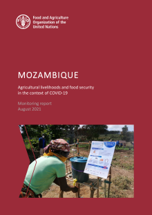 Mozambique | Agricultural livelihoods and food security in the context of COVID-19